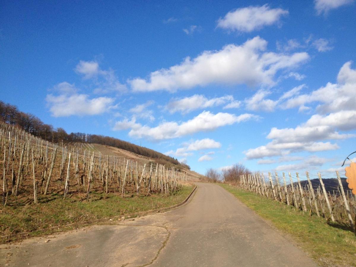 Hotel Weingut Dehren エレンツ・ポルタースドルフ エクステリア 写真