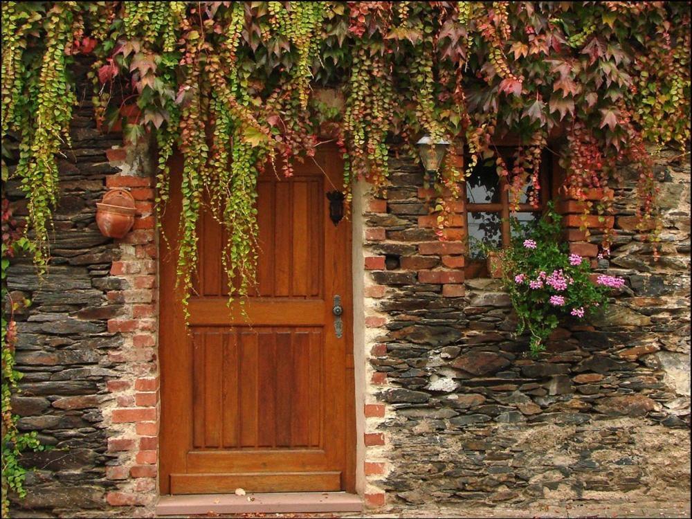 Hotel Weingut Dehren エレンツ・ポルタースドルフ エクステリア 写真